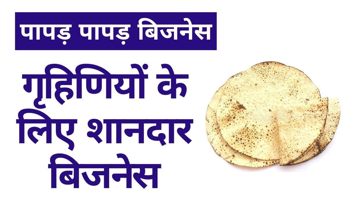 गृहिणियों के लिए शानदार बिजनेस आइडिया: पापड़ बनाने का व्यवसाय 9 पापड़ पापड़ बिजनेस